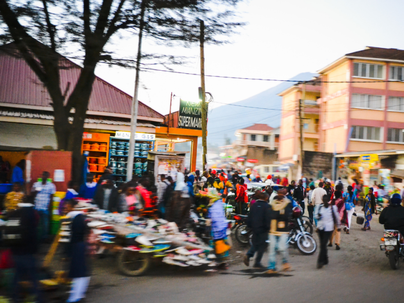 Foreign Intervention in Africa Panel